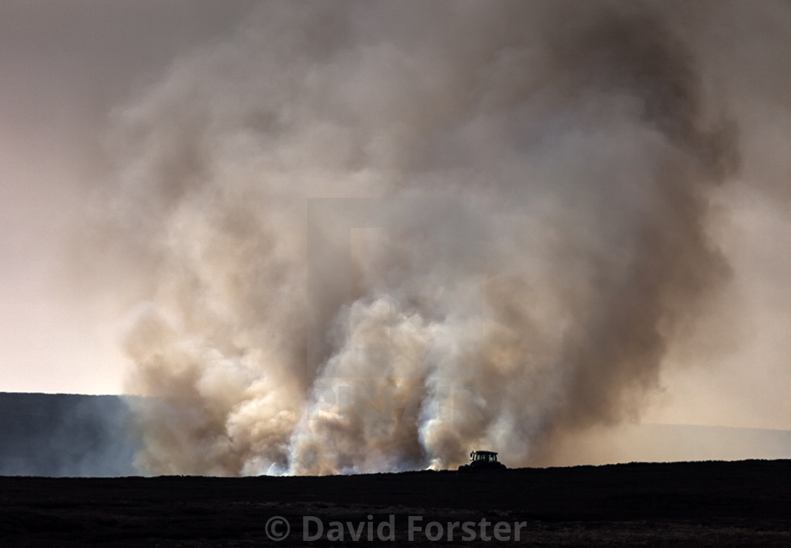 "Controlled Moorland Heather Burning in the North Pennines" stock image