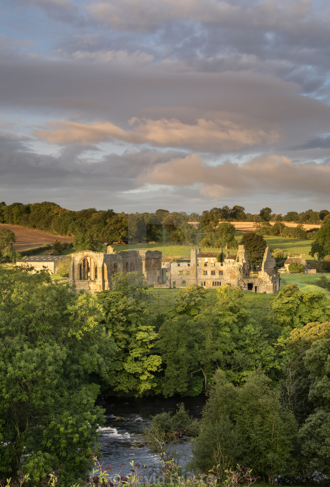 "Early Morning Light Illuminating the Ruins of Egglestone Abbey n" stock image