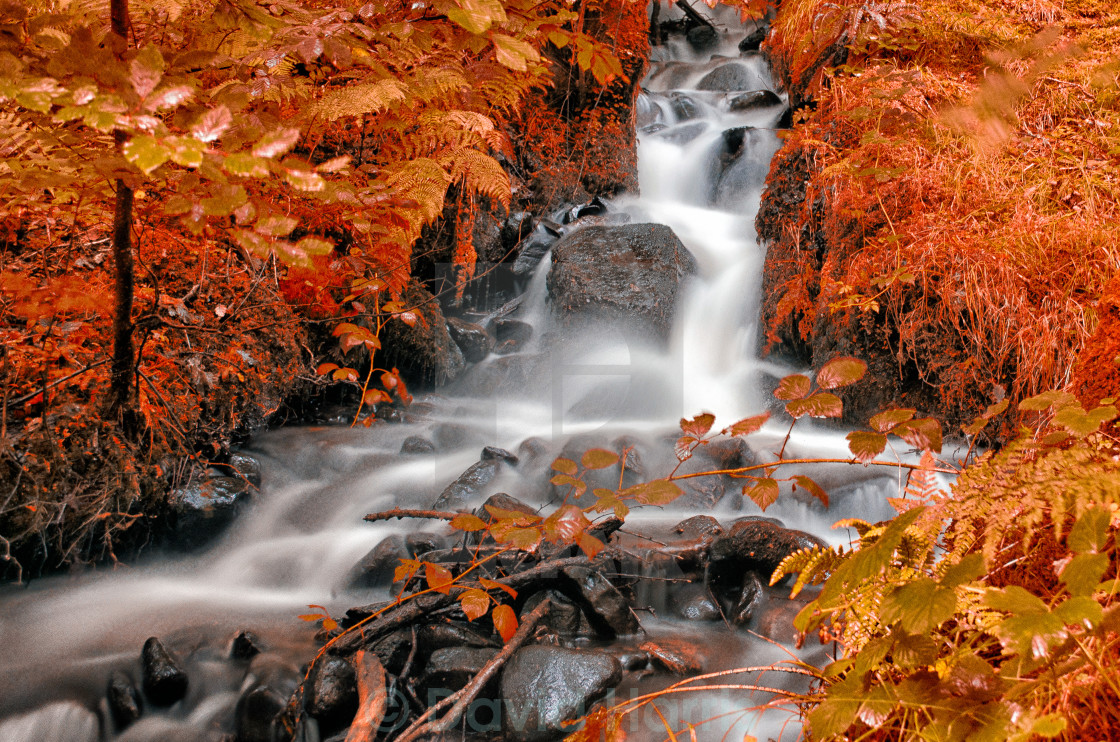 "Autumn Falls" stock image. 