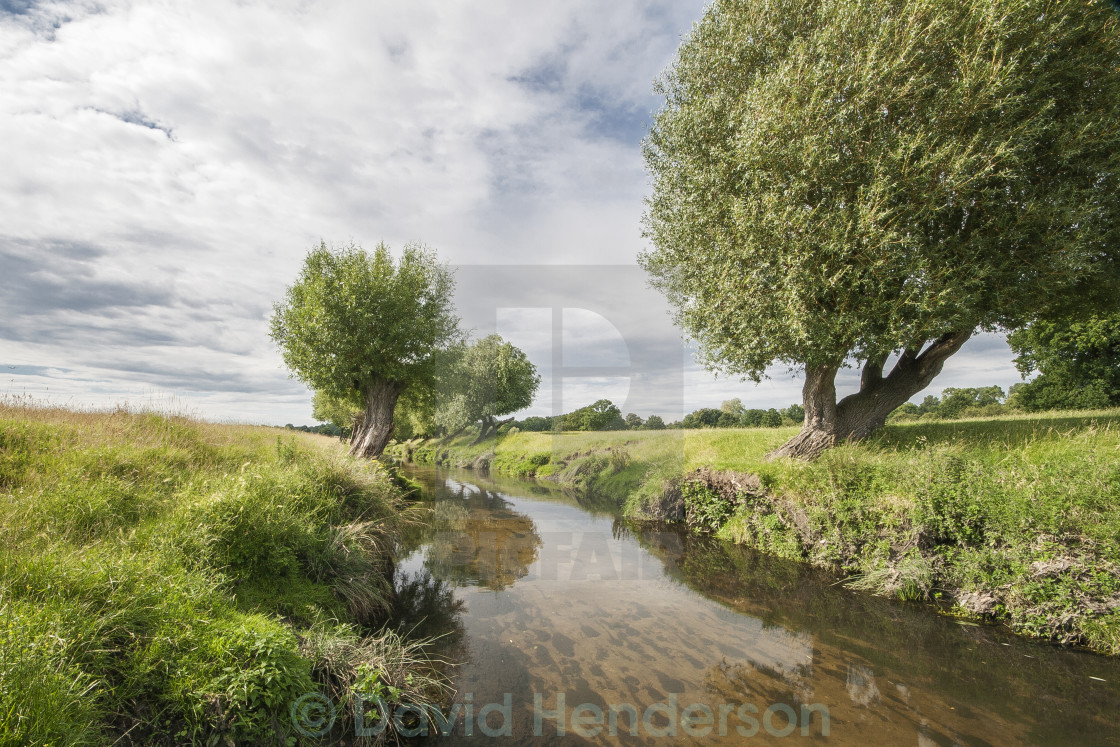 "Richmond Park" stock image