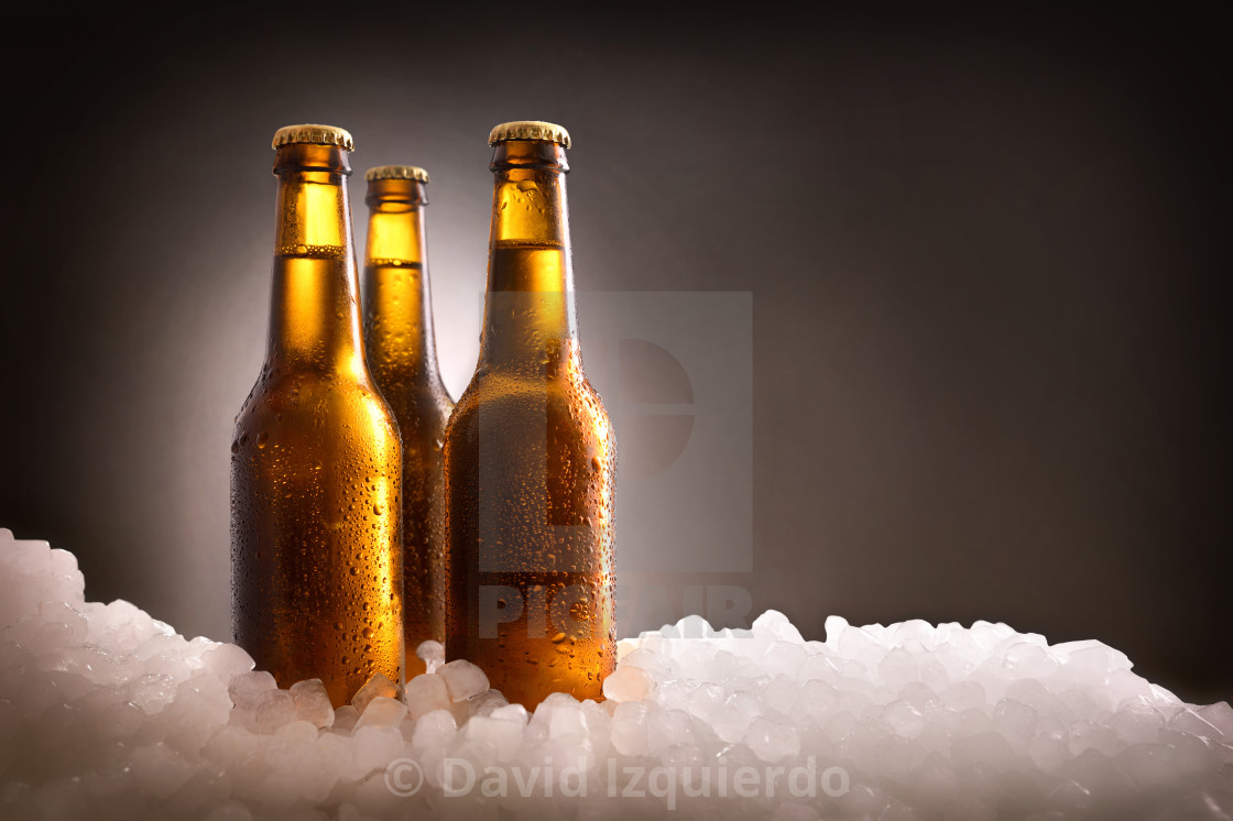Three full beer bottles on ice and dark background - License, download or  print for £ | Photos | Picfair