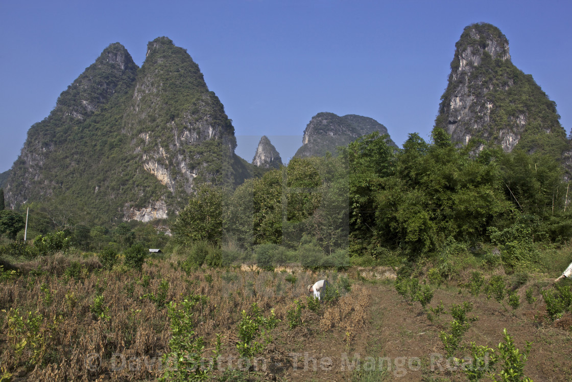 "Rural China" stock image