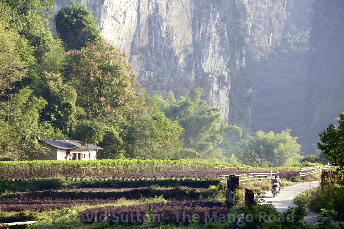 "Rural China" stock image