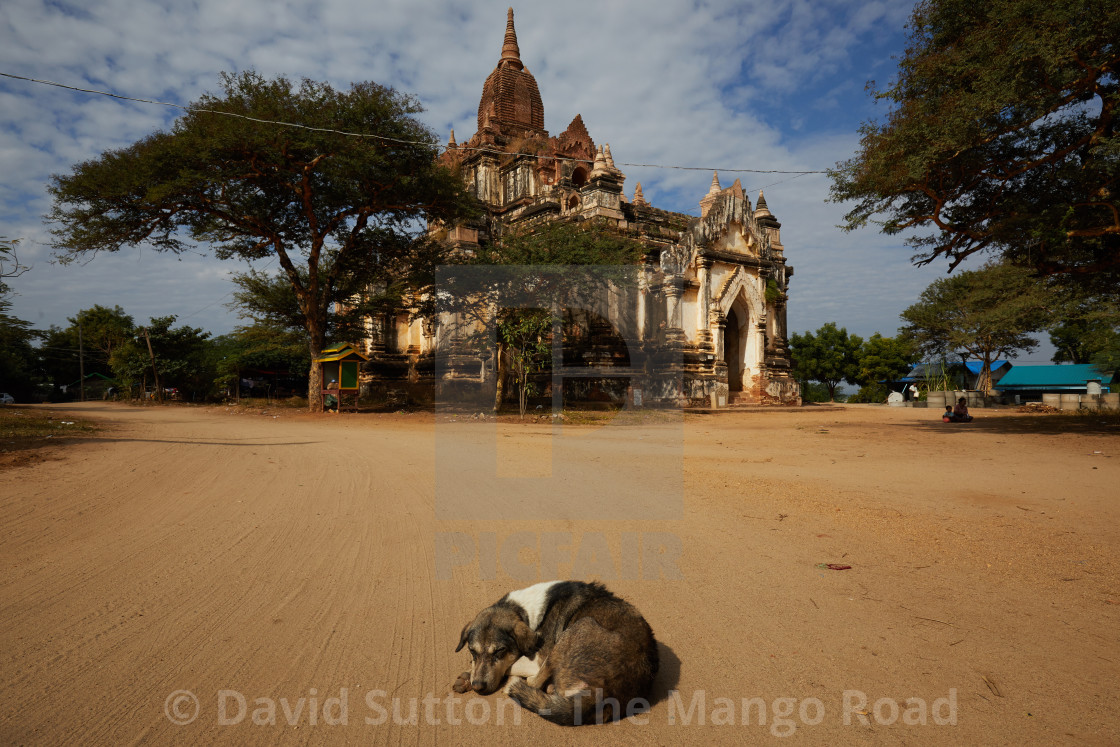 "Dog sleeps in front of Thatthe Mokgu Hpaya pagoda, Nyaung U, near Bagan,..." stock image