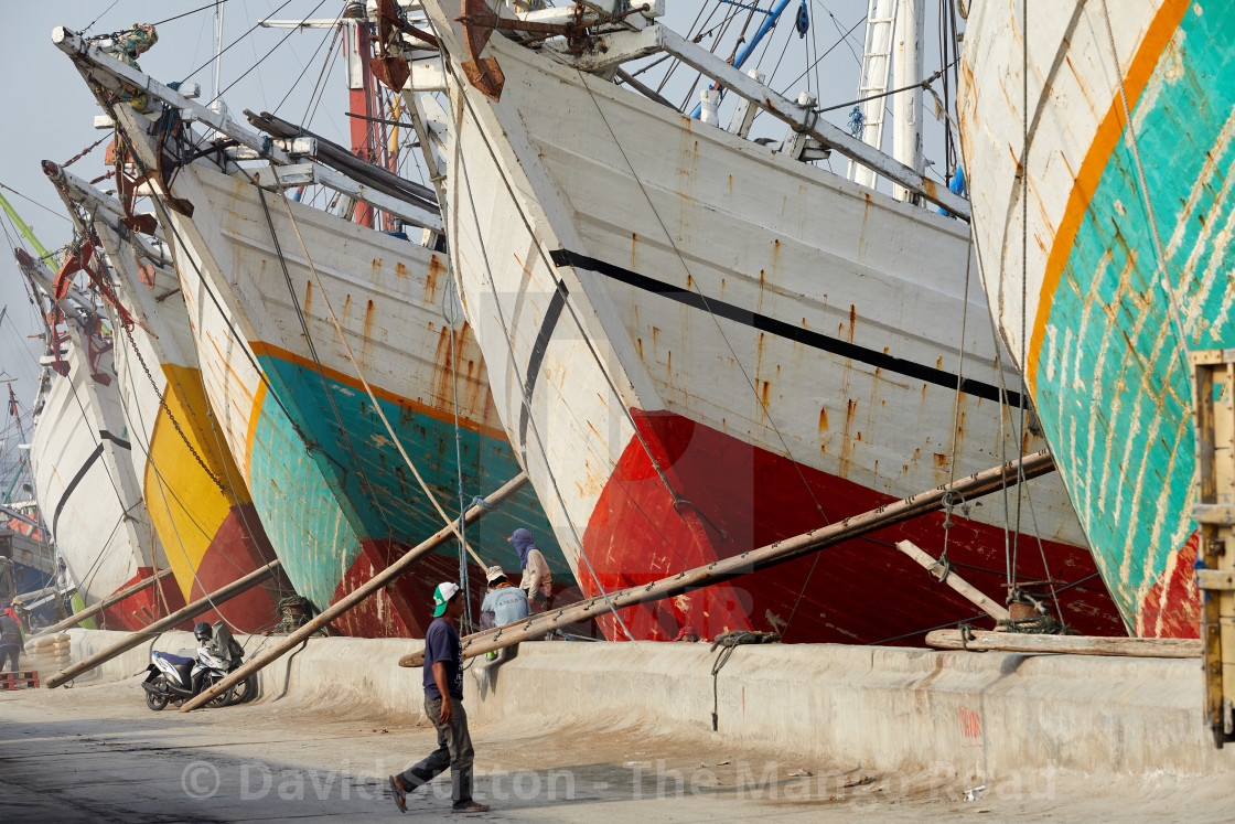 "The prows of pinisi rear up along the old harbour front at Sunda Kelapa in..." stock image