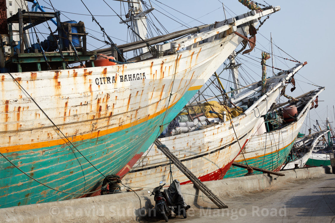 "The prows of pinisi rear up along the old harbour front at Sunda Kelapa in..." stock image