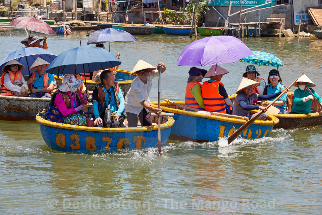 "An excursion into the nipa palm, or water coconut groves near Hoi An, Vietnam..." stock image