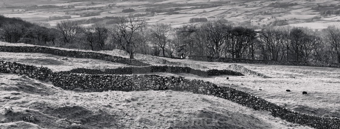 "Quintessential Yorkshire Dales" stock image