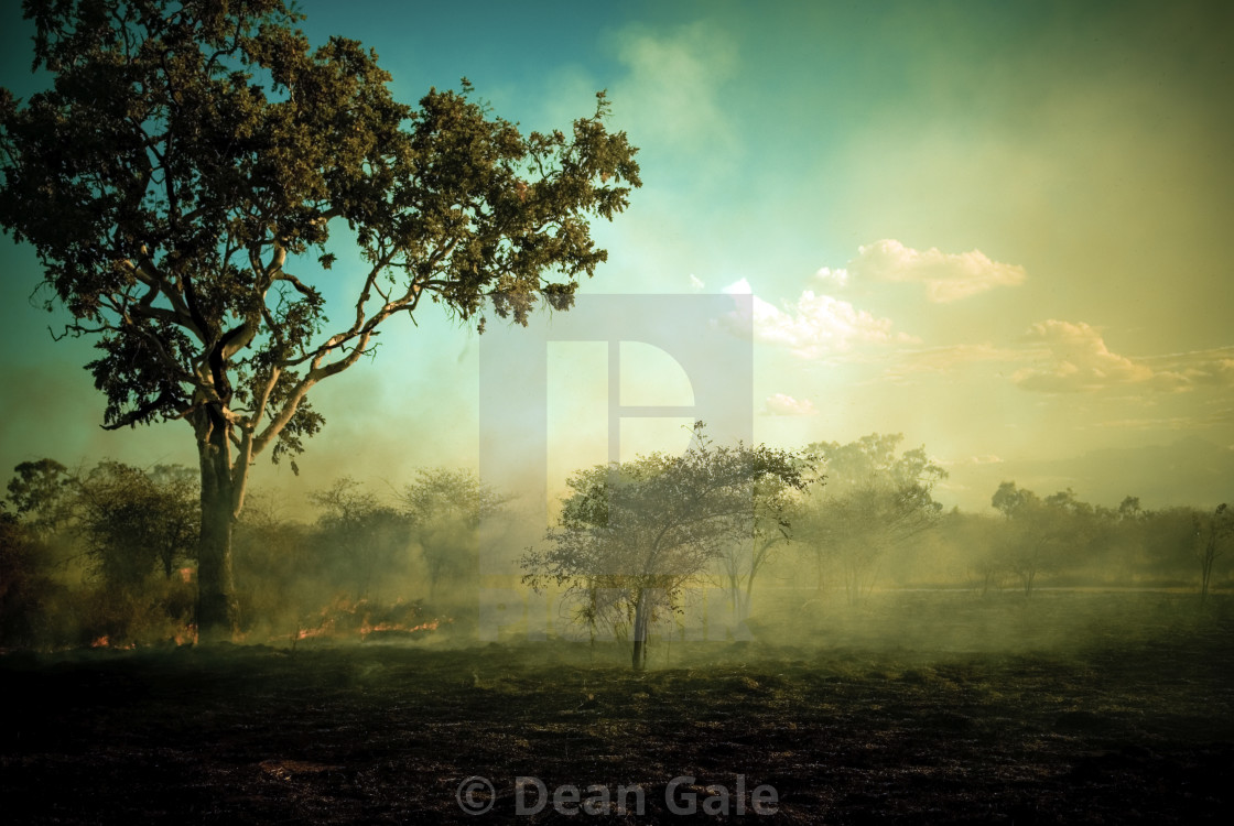 "Regeneration. The burning of the land in readiness for the searing heat of an Australian Summer" by Dean Gale - $30.89 "Regeneration. The burning of the land in readiness for the searing heat of an Australian Summer" stock image