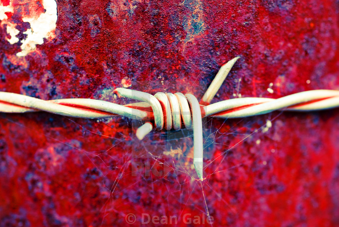 "Barb Wire Cobweb and Rust" by Dean Gale - $30.89 "Barb Wire Cobweb and Rust" stock image