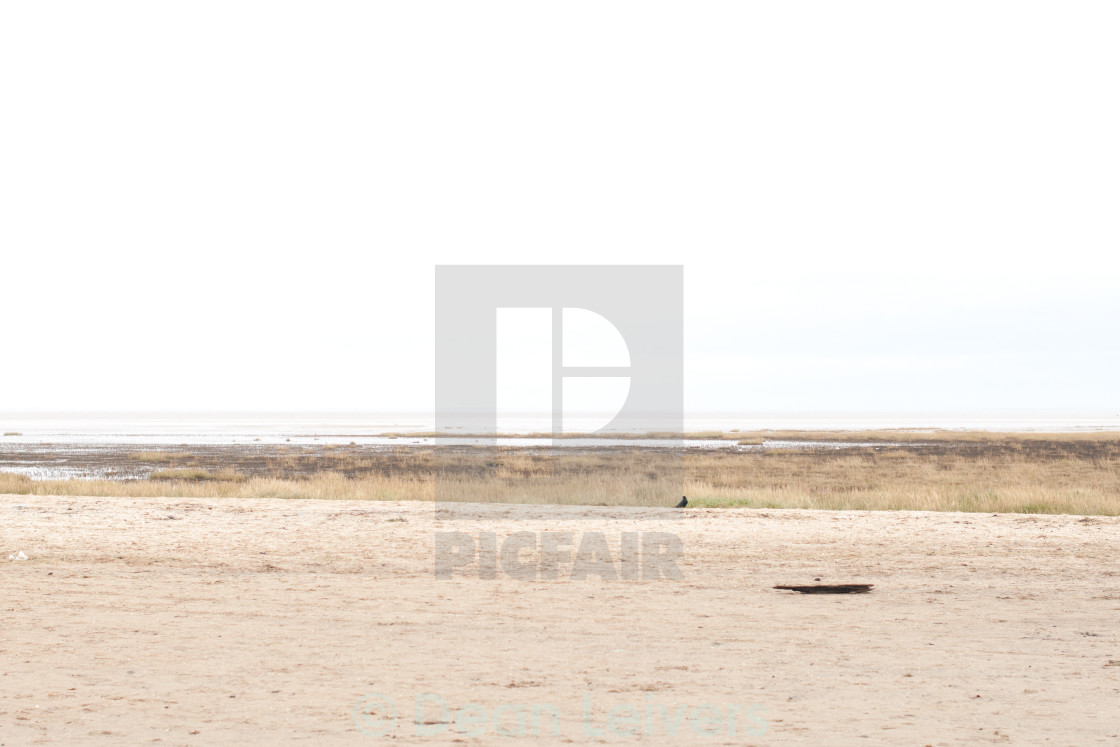 "Cleethorpes Beach" stock image