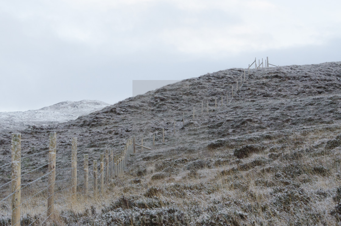 "Highland Walk" stock image