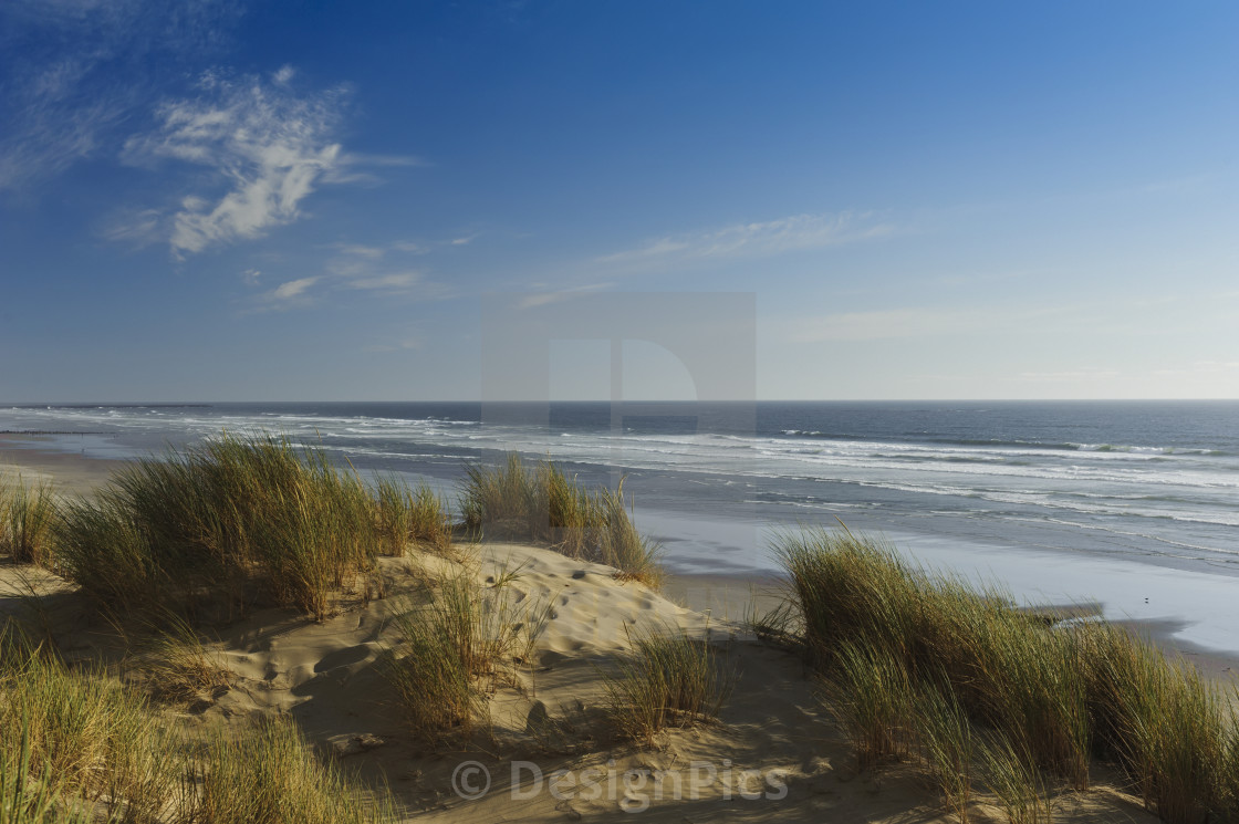 Photo Print of Nye Beach Oregon