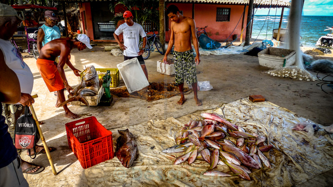 "Catch of the day" stock image