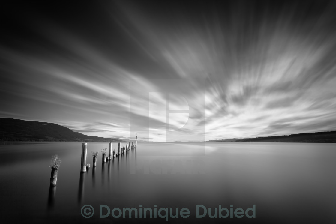 "Finding the Bird" by Dominique Dubied - $22.75 "Finding the Bird" stock image