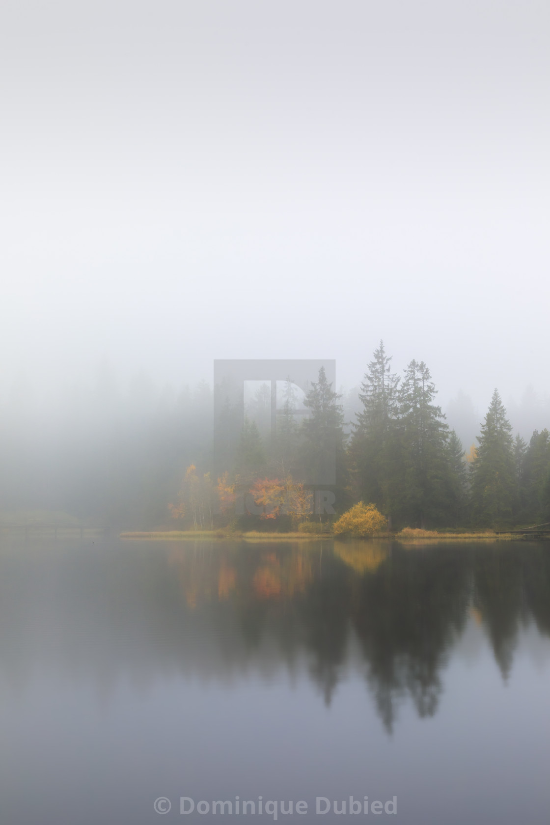 "Survivors of the mist" by Dominique Dubied - $22.96 "Survivors of the mist" stock image