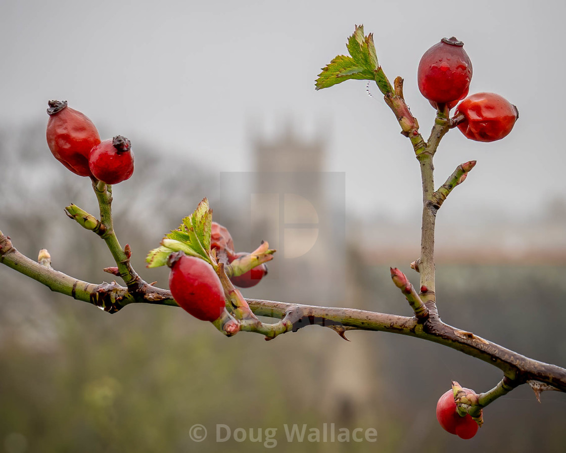 "Defocussed St Johns Chapel" stock image