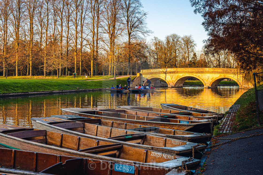 "Punts on the River Cam" stock image