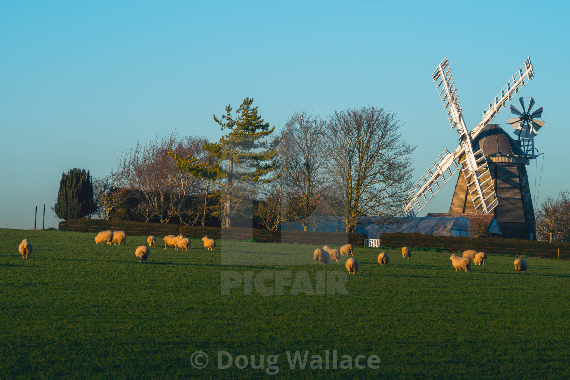 "Fulbourn Windmill Cambridge UK" stock image