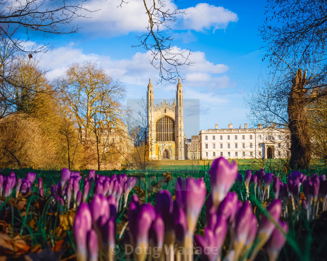 "King College Chapel Cambridge UK." stock image