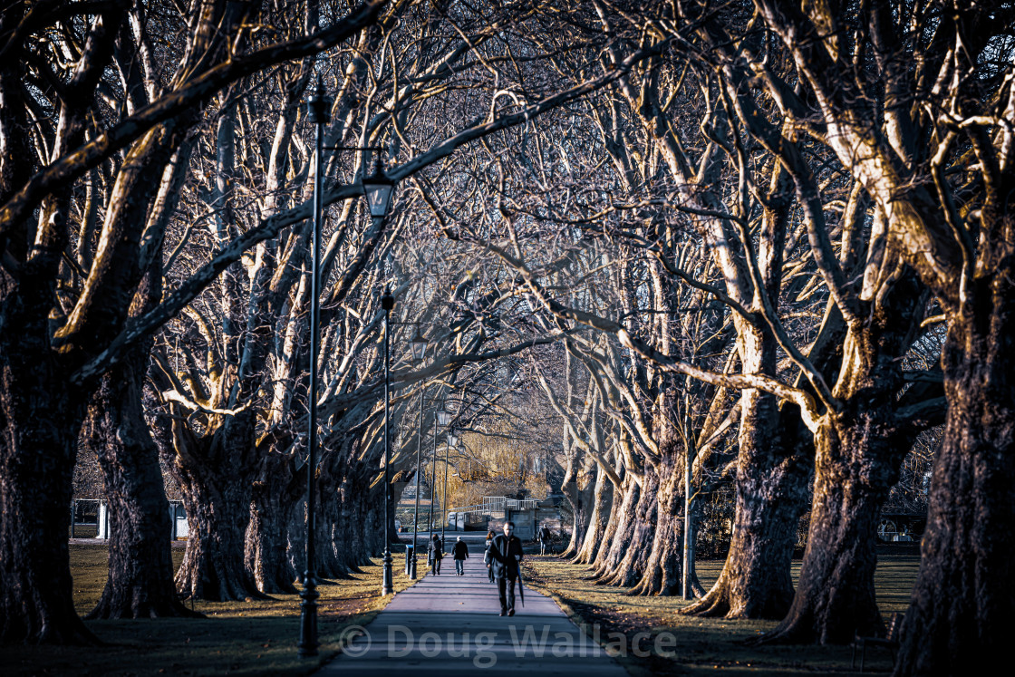 "Sunset, Jesus Green Cambridge UK." stock image