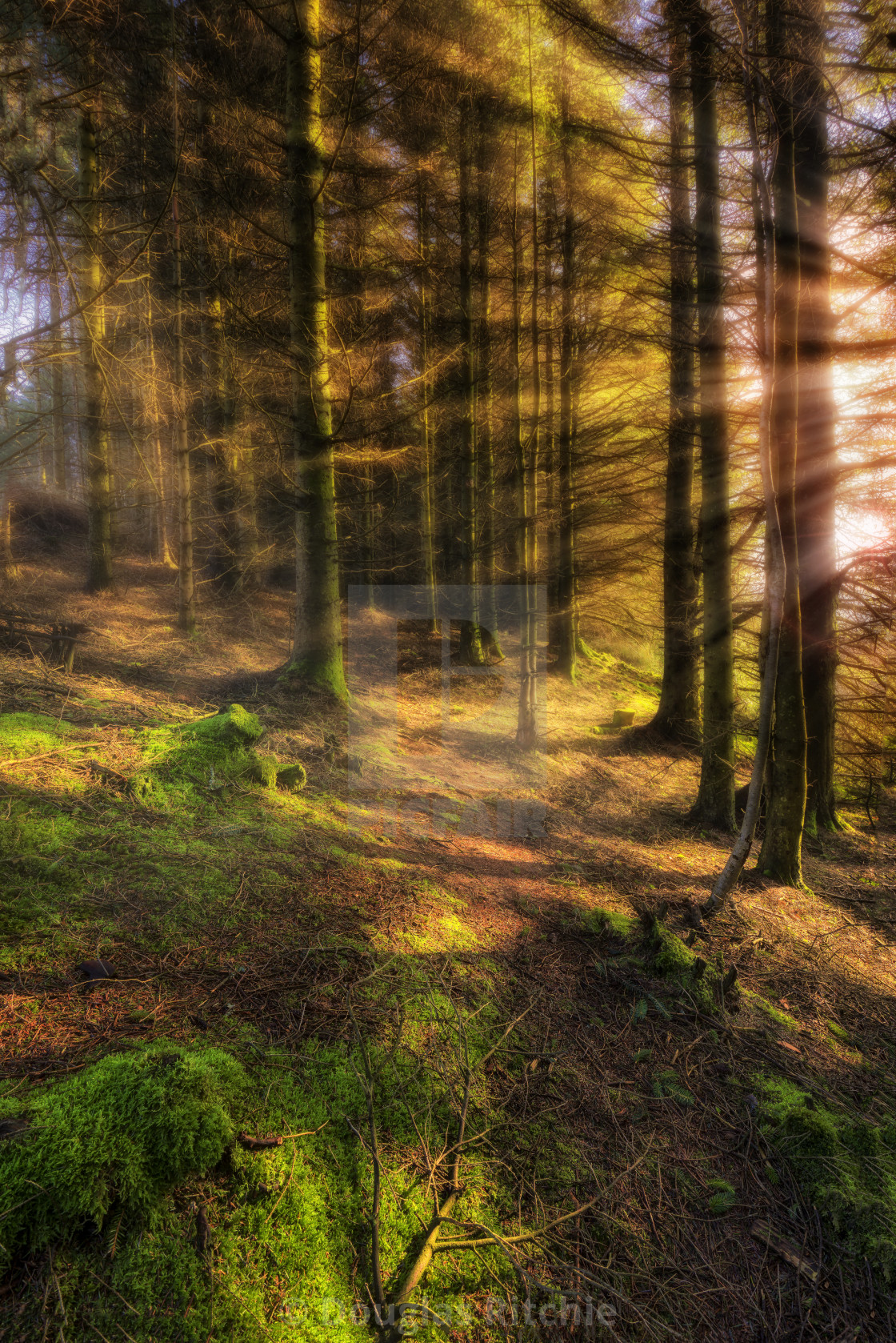 "The Perfect Path" by Douglas Ritchie - £20.00 "The Perfect Path" stock image