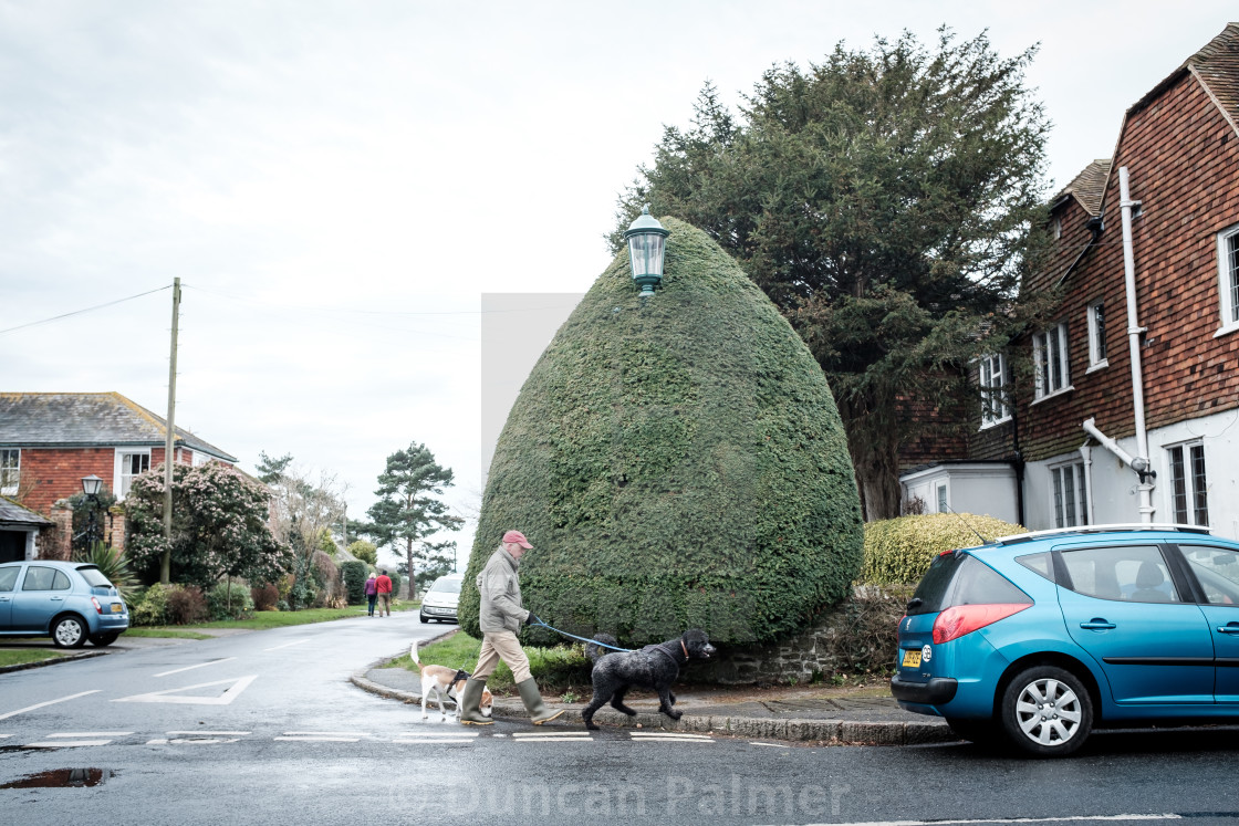 "Winchelsea" stock image