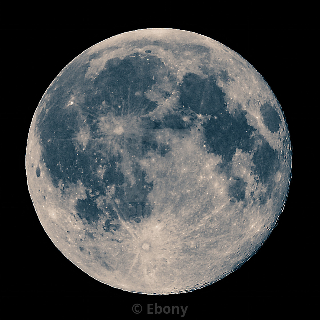 I agree that this image is for layout purposes only. 