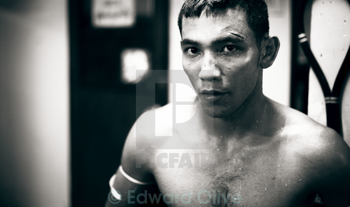 "Thai boxer boxing Thailand portrait Bangkok Lumpini Stadium" stock image