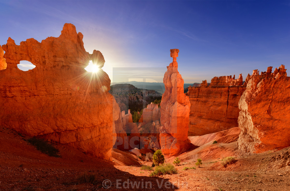 "Thor's hammer in Bryce Canyon National Park in Utah USA during sunrise." stock image