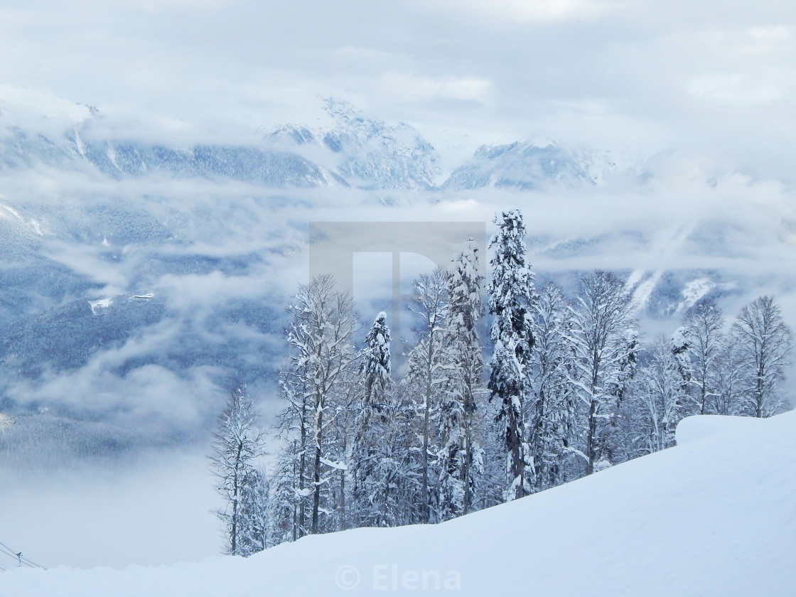 Ski Resort Krasnaya Polyana License Download Or Print For 12 40 Photos Picfair