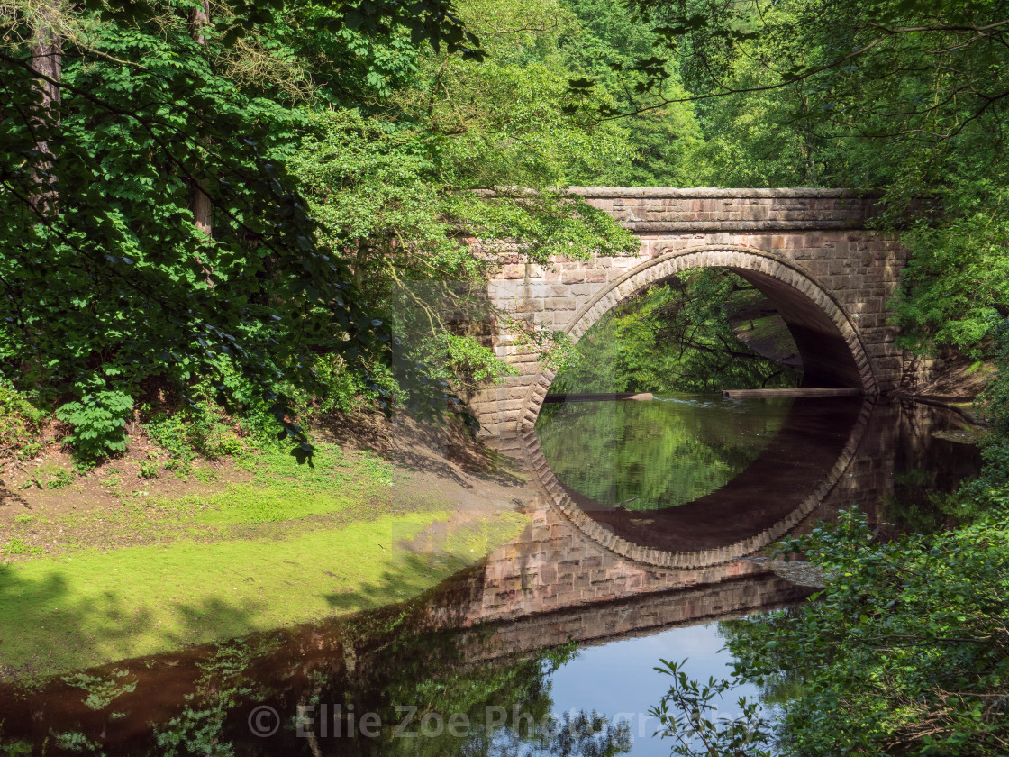 "The Other Side" by Ellie Zoe Photography - $15.31 "The Other Side" stock image
