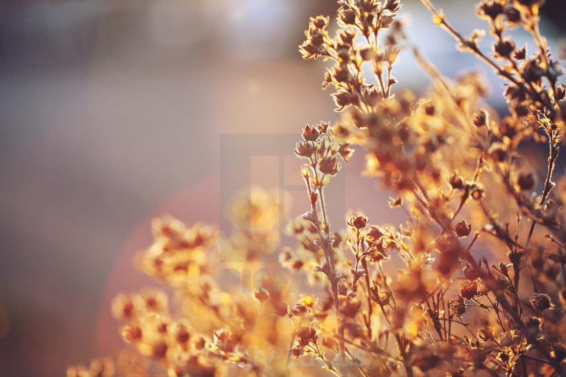 "Fire in the sun." stock image