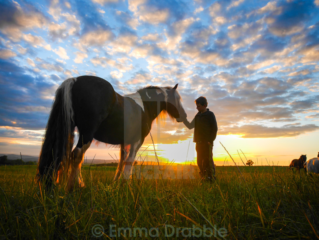 "Horse and Boy: making friends" stock image