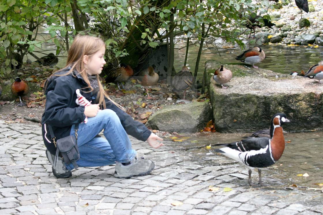 girl feeding animals - License, download or print for £ | Photos | Picfair girl feeding animals - License, download or print for £ | Photos | Picfair