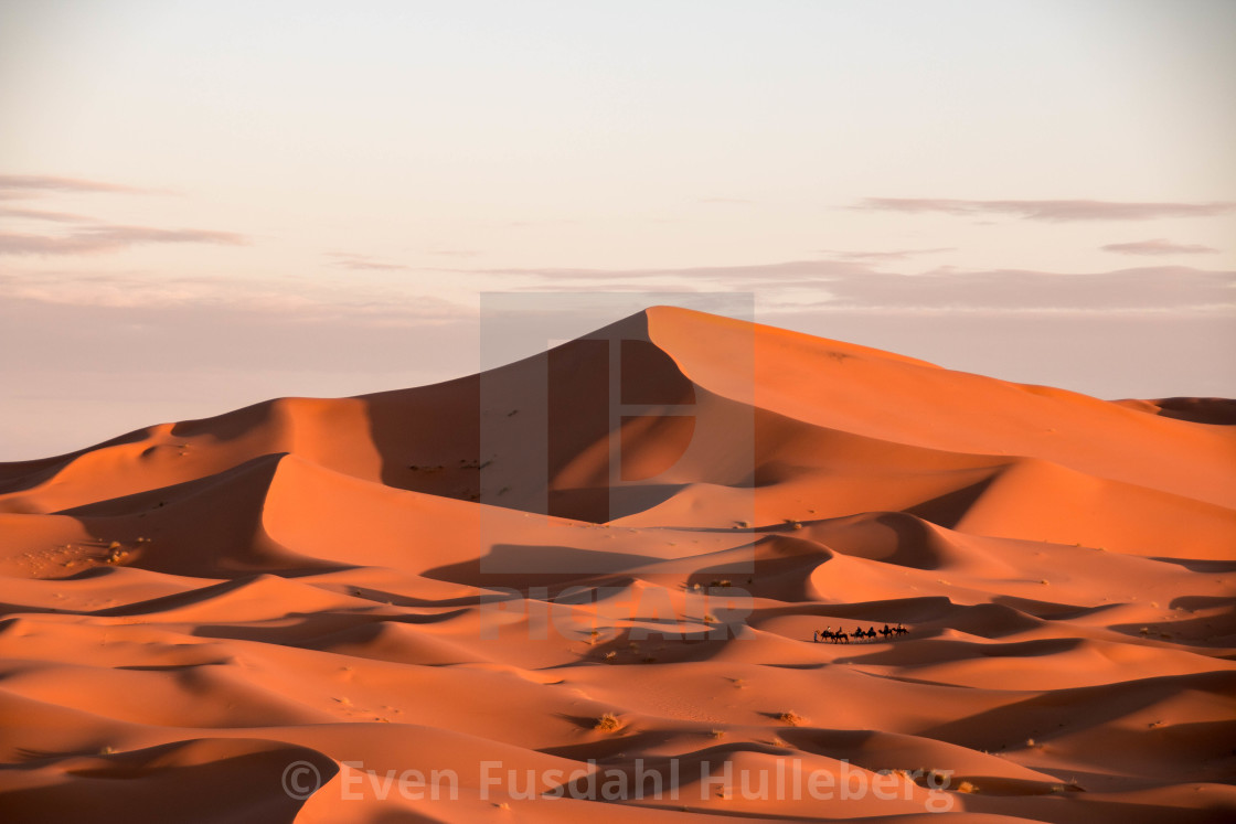 "Erg Chebbi in the Sahara Desert, Morocco" stock image