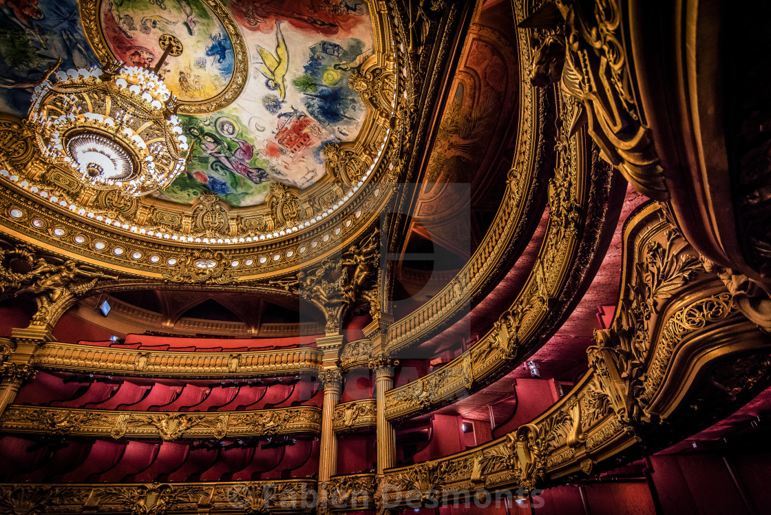 Paris Opera House Theater License Download Or Print For