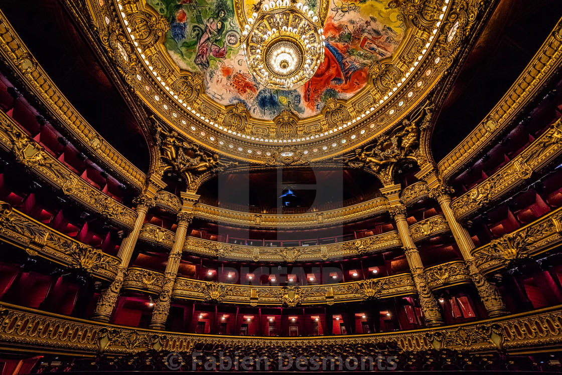 Paris Opera House Ballroom License Download Or Print