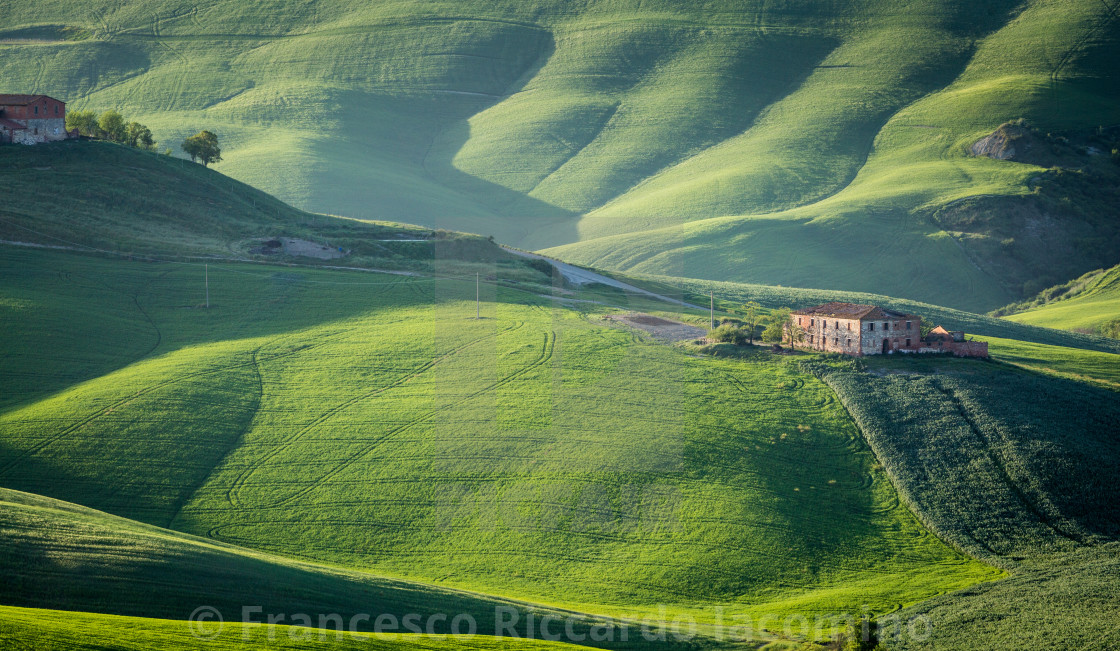 Crete Senesi Tuscany License Download Or Print For 12 40 Photos Picfair