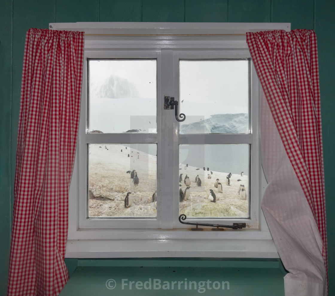 "The view from the kitchen, Port Lockroy" stock image