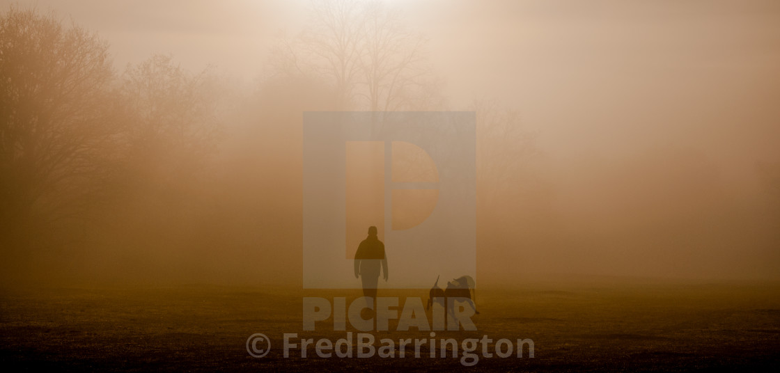 "Dog Walker in the mist" stock image