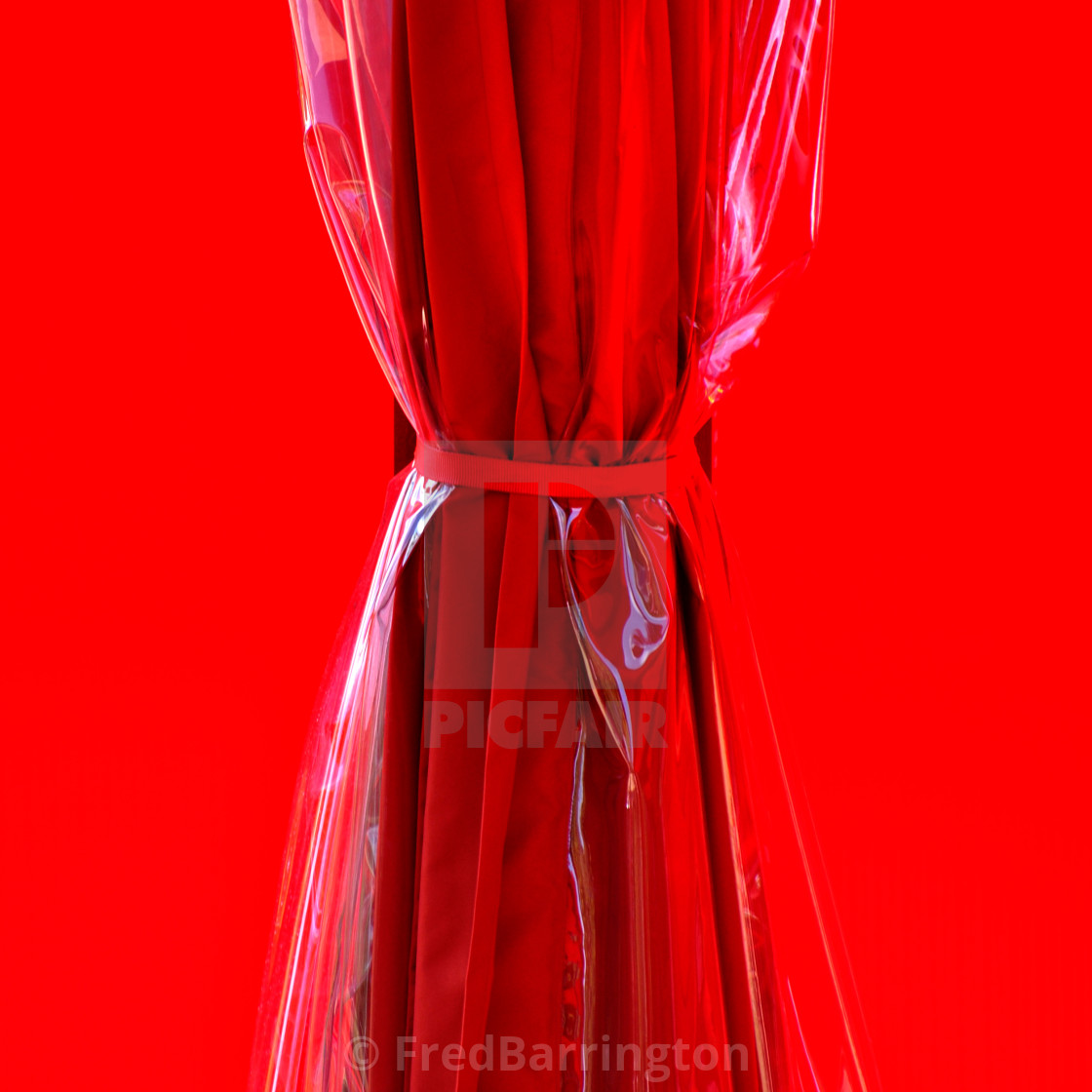 "Red Bow" stock image