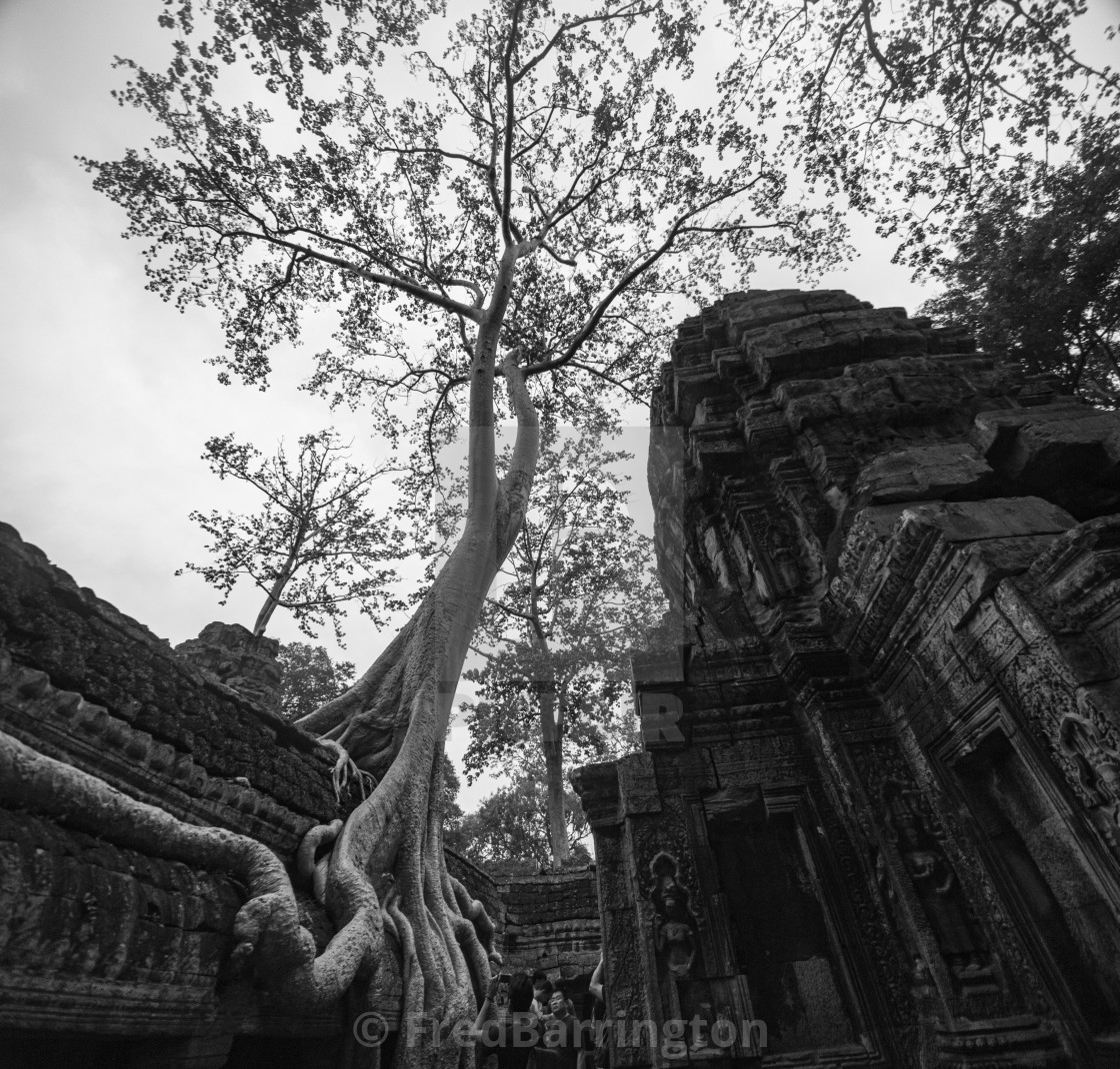 "Ta Prohm Temple" stock image