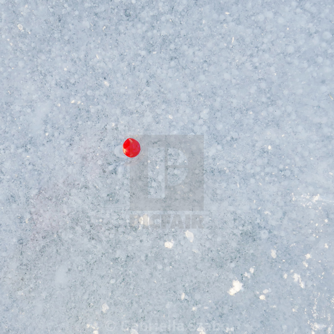 "red point on the ice" stock image