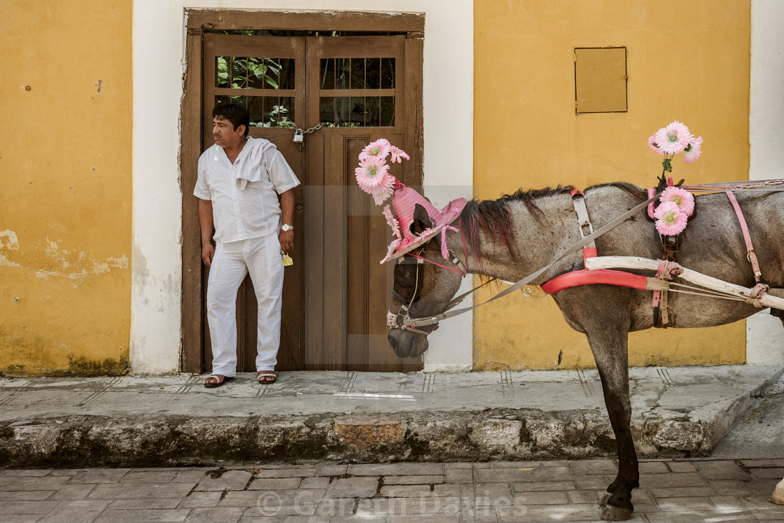 "a man in white clothes standing in a doorway with a horse next to him wearing a hat and floers" by Gareth Davies - $4.67 "a man in white clothes standing in a doorway with a horse next to him wearing a hat and floers" stock image