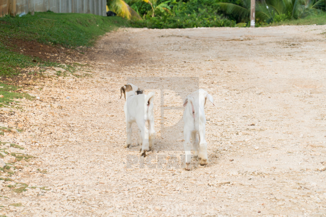 "Lost Kids" stock image