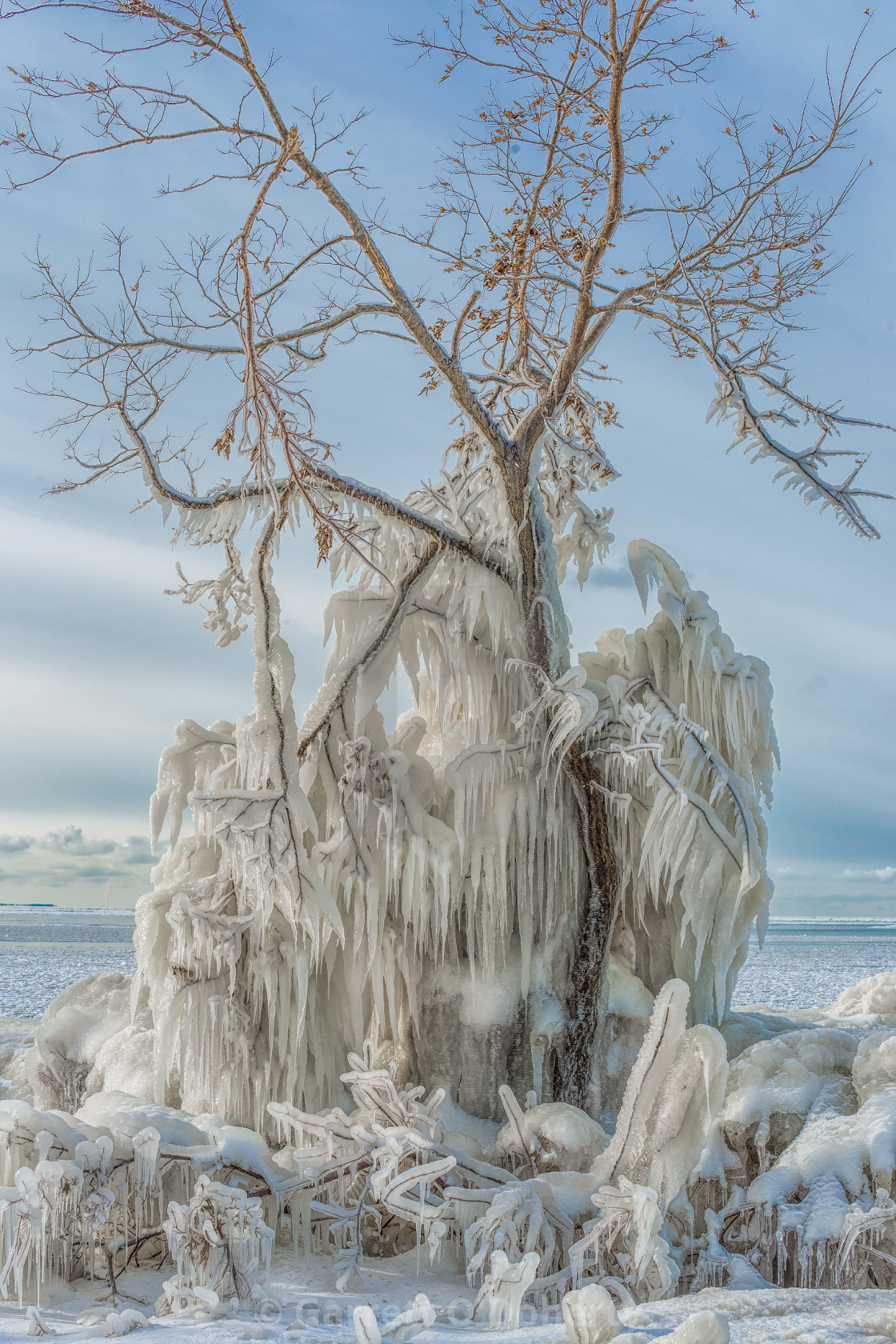Point Pelee On License Download Or Print For 30 00 Photos Picfair