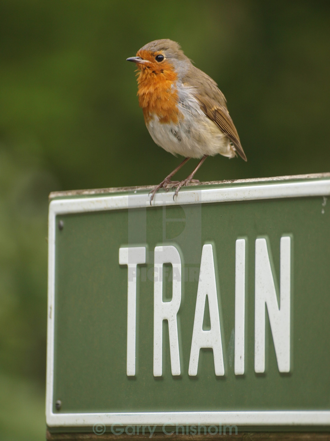 "Which way train?" stock image