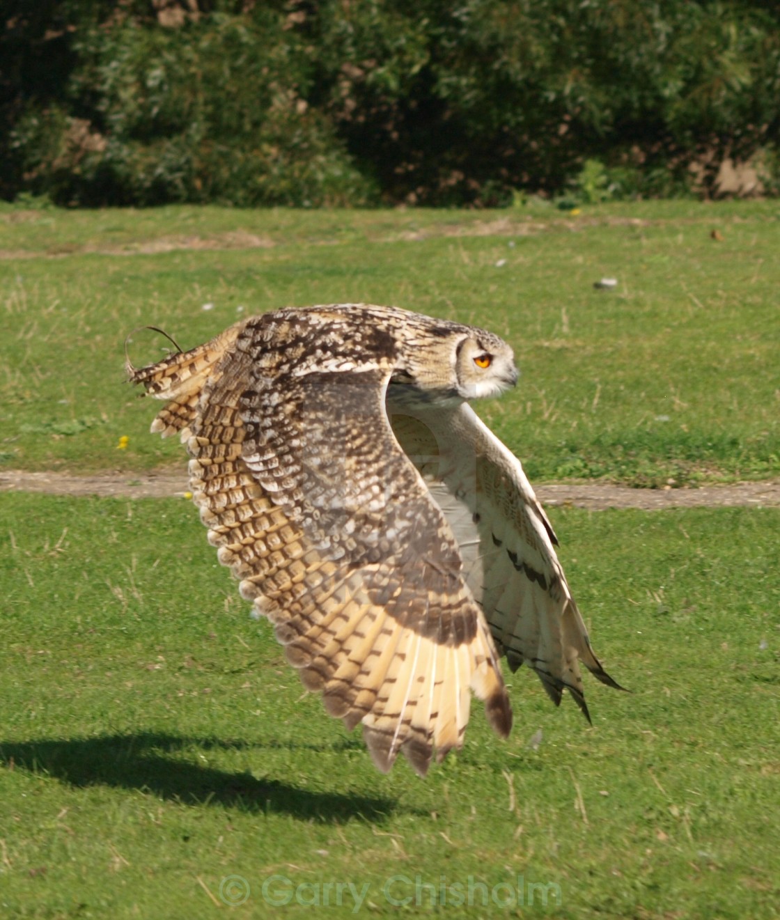 "Gliding" stock image