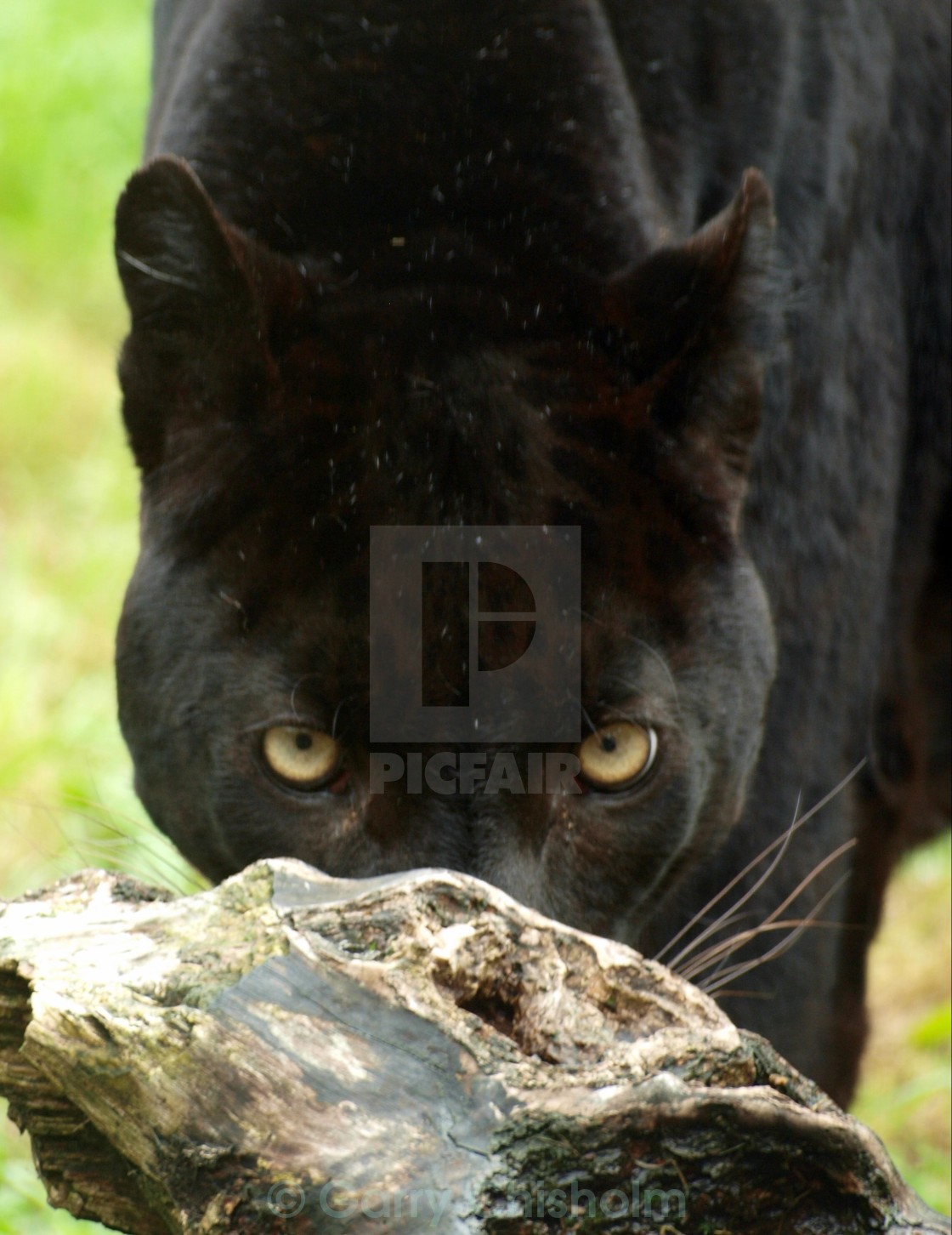 "Can you see me?" stock image